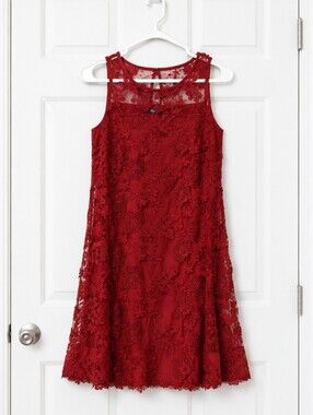 ROZ & ALI Women's Crimson Lace Overlay A-Line Dress